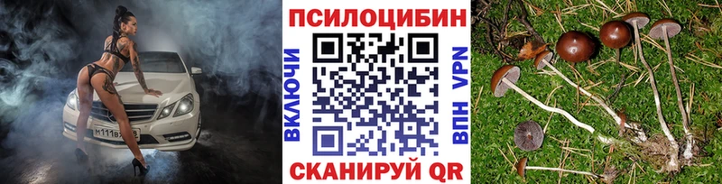 Псилоцибиновые грибы Psilocybine cubensis  это состав  Высоковск 